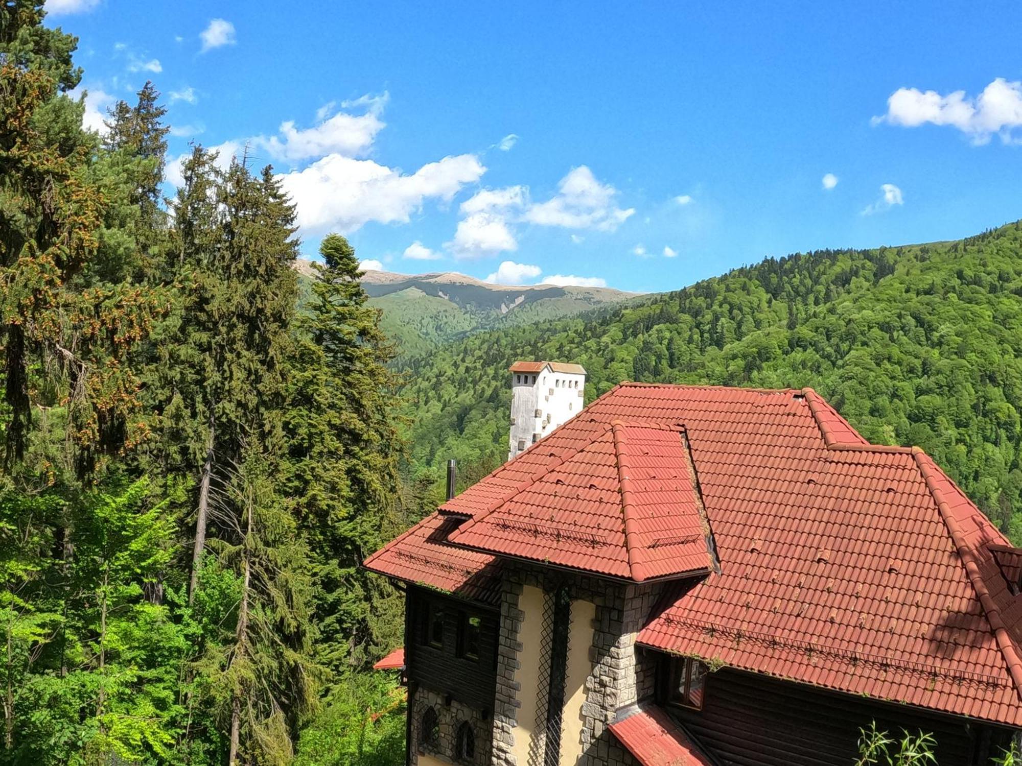Casa Adina Hotel Sinaia Luaran gambar