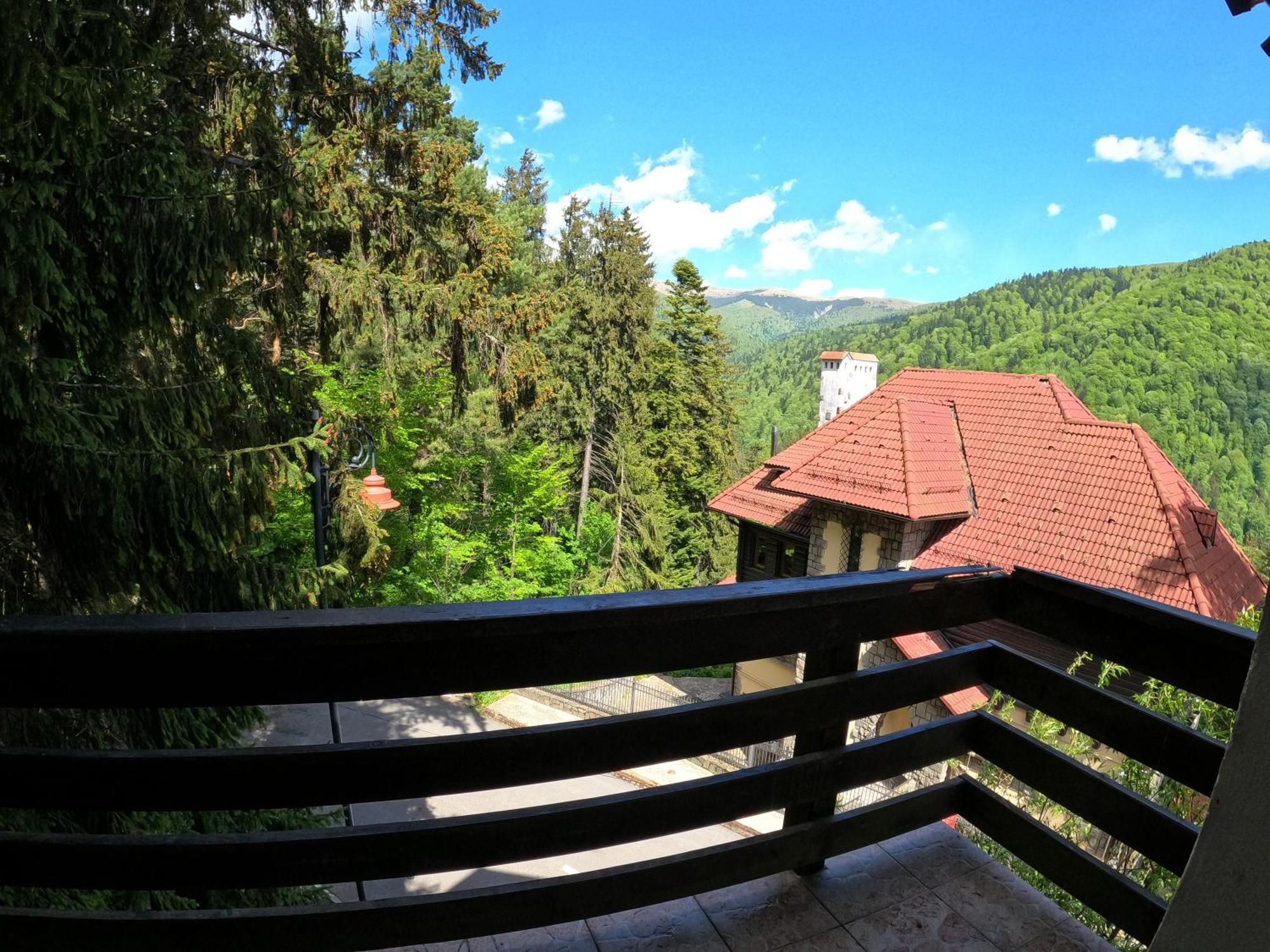 Casa Adina Hotel Sinaia Luaran gambar