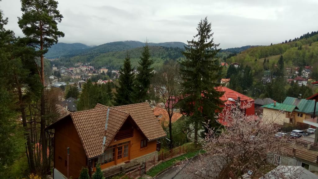 Casa Adina Hotel Sinaia Luaran gambar