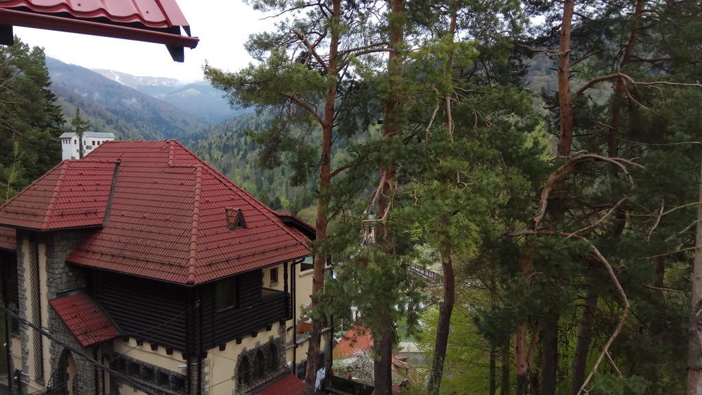 Casa Adina Hotel Sinaia Luaran gambar