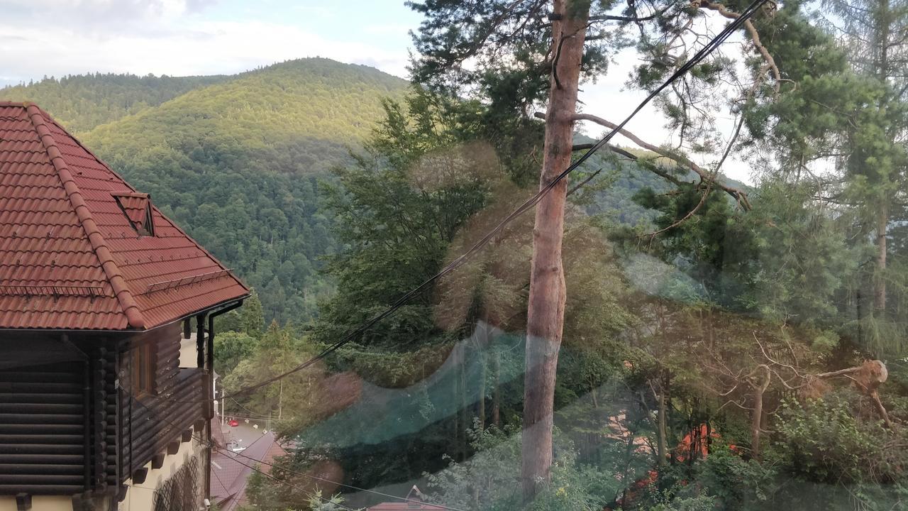 Casa Adina Hotel Sinaia Luaran gambar