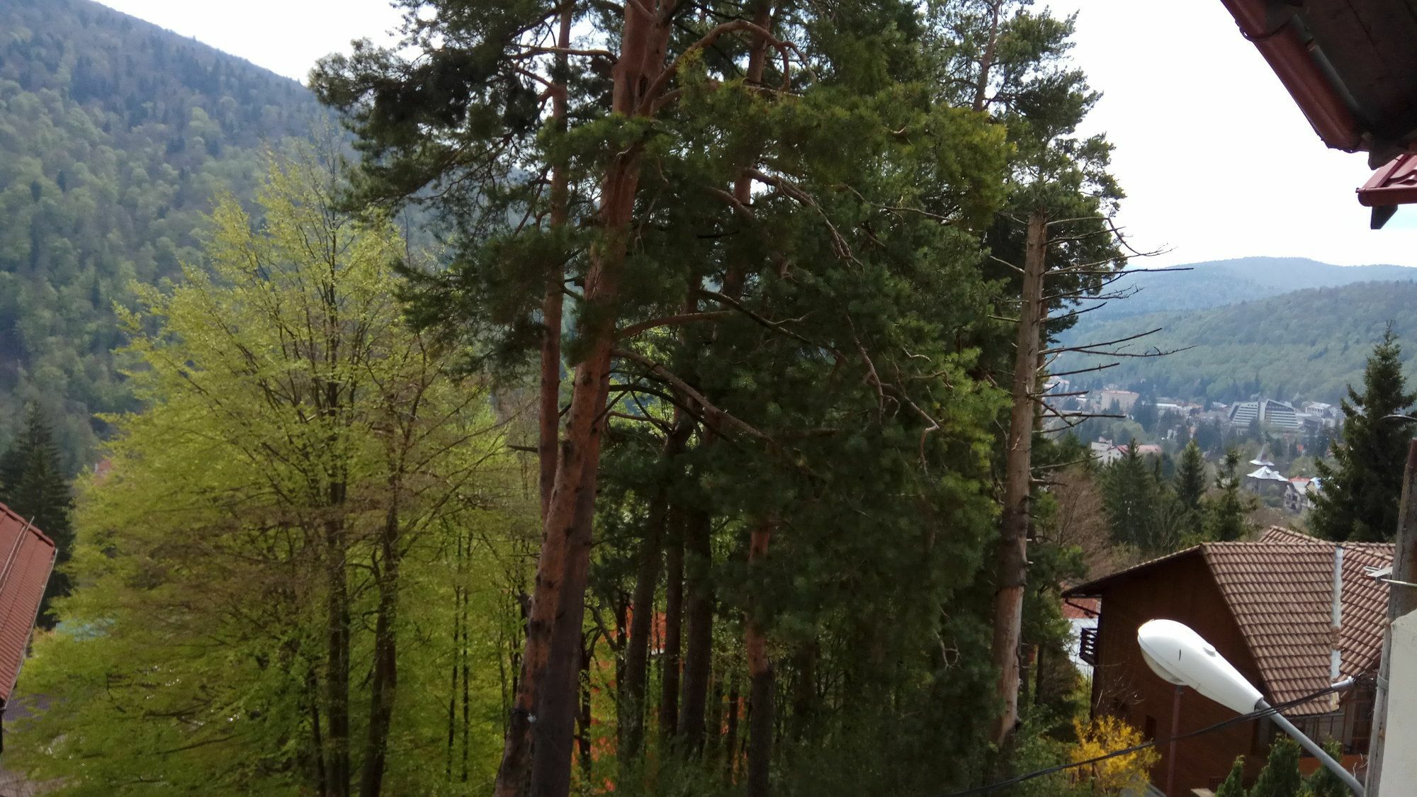 Casa Adina Hotel Sinaia Luaran gambar